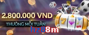 hz88m