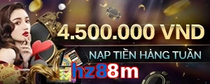 hz88m